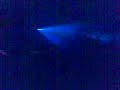 raresh-in-timewarp-2008.html