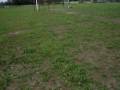 videos de gol cueuuoo