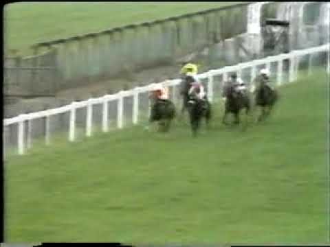 racing results cheltenham