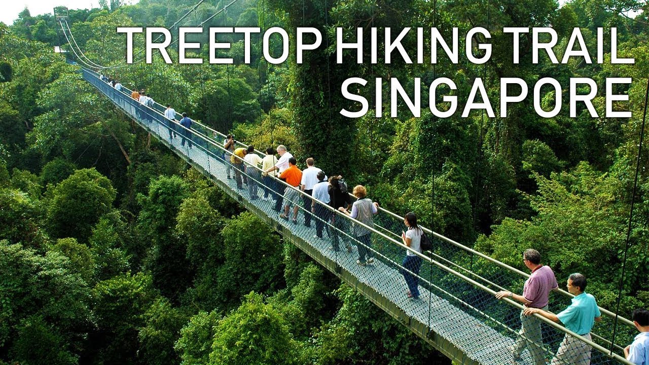 Top 13 Most Instagrammable Outdoor Photoshoot Locations in Singapore Lobangsiah.Sg