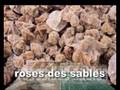 vues de chebika