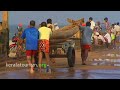 Daring to eke a living out of the rough sea Valiyathura Kerala Tourism