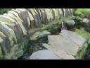 Stone pond revisited