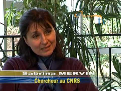 Voir la vidéo