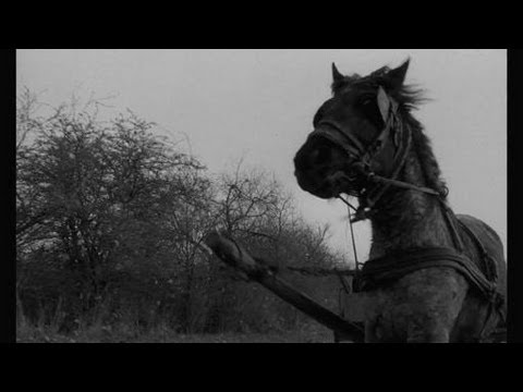 Trailer film A torinói ló