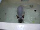 bath time 2