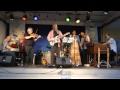 Djursland Spillemænd - The Land I Love (2011)
