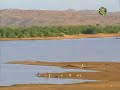 khalifa-mauritanie.html