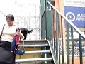 chuchito callejero se pasa sobre la pasarela de montserrat