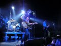 We are Scientists \"Against all odds\"