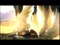 Budweiser Commercial (1996) (Television Commercial)