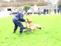 Police Nationale Police Nationale