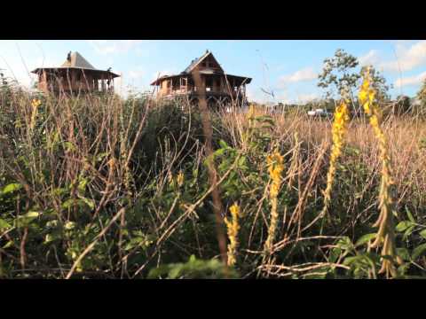 Bamboo Living: Two Green Bamboo Homes Up In Two Days