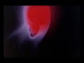 colorstar-fallen.html