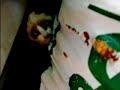 gatos a bulha ,depois com cara de parvos