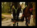 THINK! - Horse Safety THINK! - Horse Safety