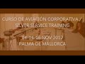 AVIACIÓN CORPORATIVA / SILVER SERVICE PALMA DE MALLORCA NOV 2012...wmv