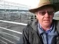 Lack of rain limits Ballarat cattle market to local trade