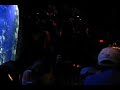 Inside the Rainforest Cafe at Disneyland