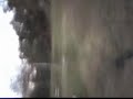 hgd
