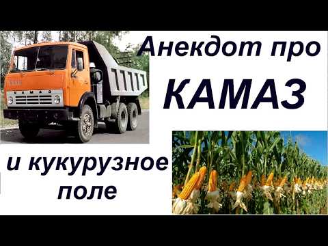 Помогите пожалуйста, мучаюсь этими прыщами лет 6 - Здоровье Форум Поздравления учителям по разным предметам