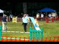 videos de Snapshot, Gamblers, 08/30/08