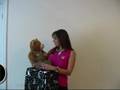 How to be a ventiloquist and do ventriloquism part 1, Simon Cowell says yes!