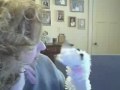 Cuddles Looks For Spellermouse Cuddles Looks For Spellermouse