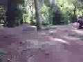 funny bike stack at Apex Bike Track