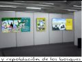 Exposición Un cielo azul Exposición Un cielo azul