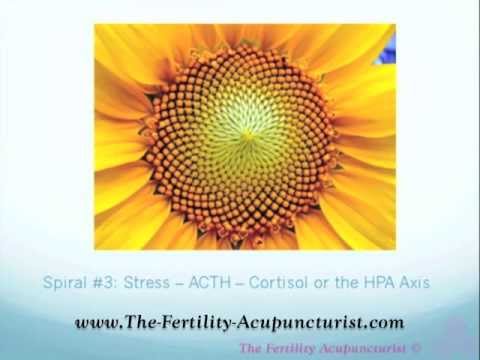 how to treat high cortisol levels