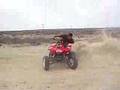 coyote racing team de chinconcua