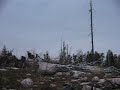 northern-alberta-moose-hunt-2005.html