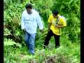 Mt M Tree Planting Part 2