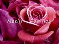 Nesly - For you