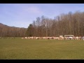 ECAC Women Starting off 2009