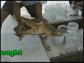 Promote responsible shrimp fishing