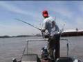 Catfishing Downtown Louisville Ky