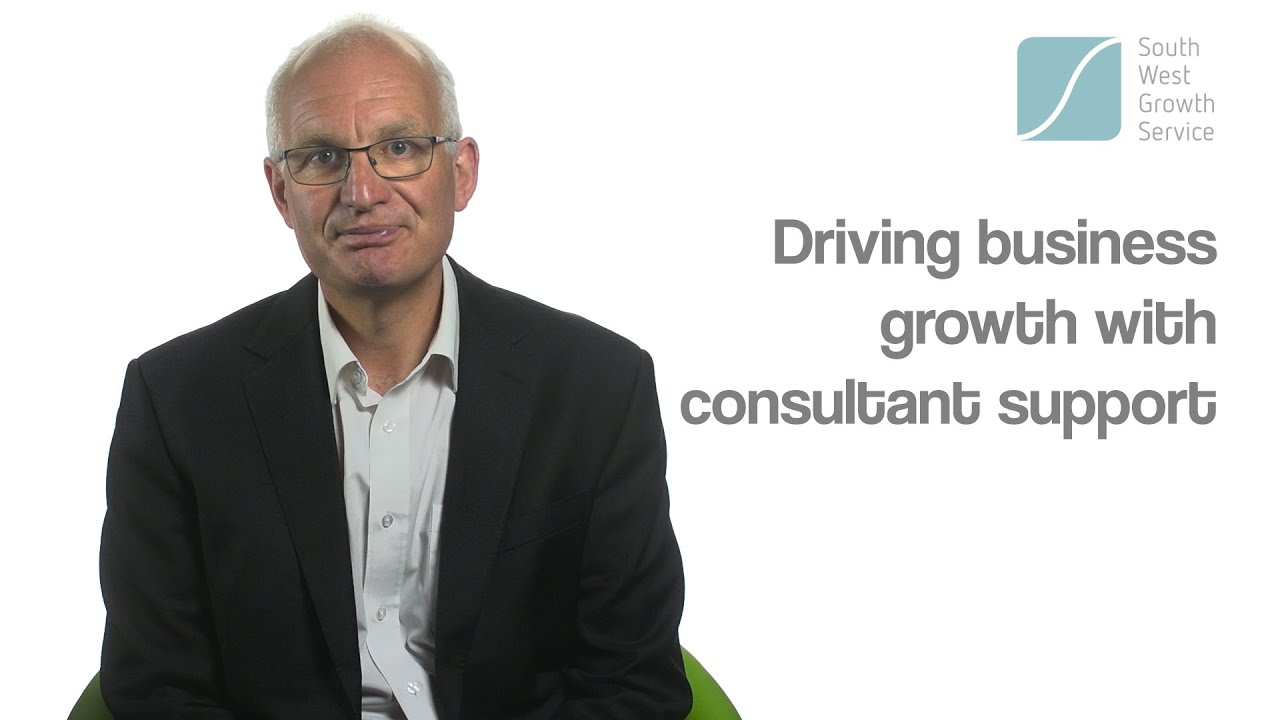 Driving business growth with consultant support - In a nutshell
