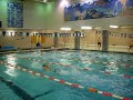 swimming