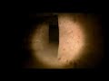 The Another true Signs of Imam mahdi-The ARK  (Part 9)