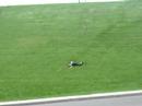 my cousin and his friend bein rollin down a hill