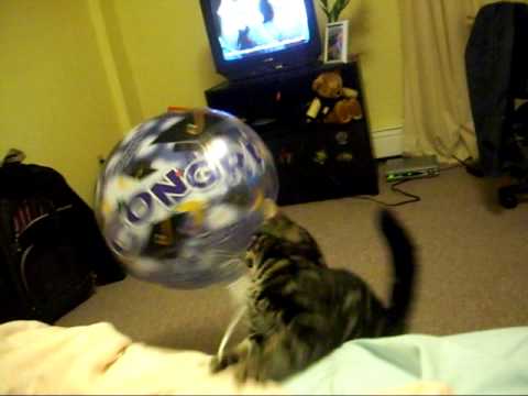 Max vs. Balloon