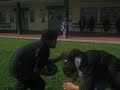 telisha smashes noah ova in a game  ...
