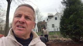 Steve Griggs Design | Planting 20 Foot Trees in 15 Minutes (Part 2)
