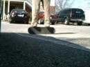Slo Mo for the masses Slo Mo for the masses