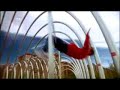 Video promocional para la candidatura de la ciudad de Madrid para organizar los Juegos Olímpicos en el 2012