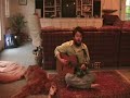 Isto - Rover the Rambling Dog