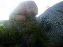 Kruger national park monument tablet very rare footage