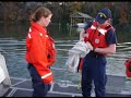 bm-a-0407-coast-guard-video.html
